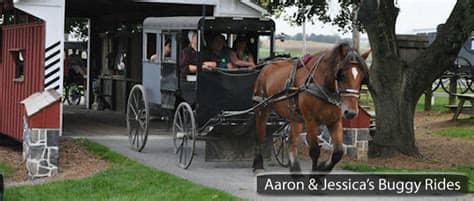 Proudly serving lancaster, pa and the surrounding community since 1968 the best home remodeling projects add lasting value to your home, while making your life easier and more comfortable. Top 5 Amish Buggy Rides in Lancaster, PA (COUPONS) - Horse ...