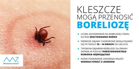 Od początku roku odnotowano w Polsce ponad 4300 przypadków boreliozy