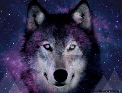 Powerful wolf live wallpaper hd for all admirers of this wild animal! 3D Wolf Tumblr | Amazing Wallpapers