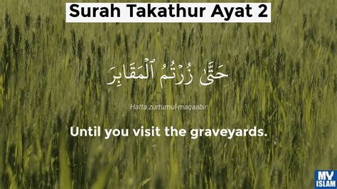 Surah Takathur Ayat 2 1022 Quran With Tafsir My Islam