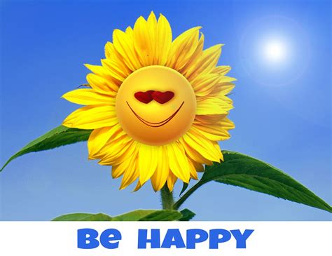 Fantastische geburtstag gif bilder kostenlos. Kostenlose Illustration: Sonnenblume, Blume, Gelb ...