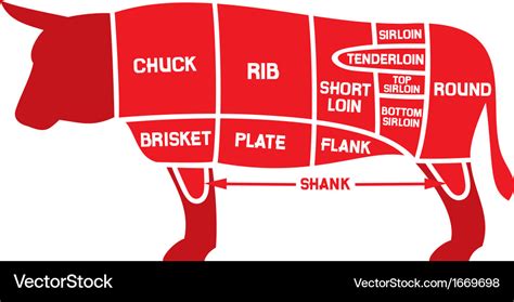 beef cuts chart poster pdf