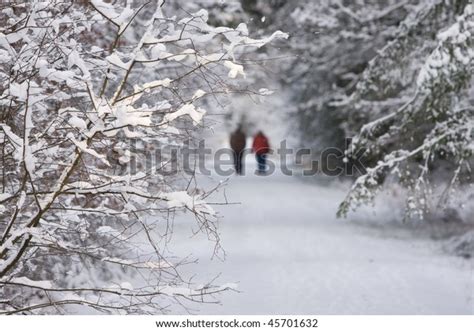 Walking Winter Wonderland Stock Photo Edit Now 45701632