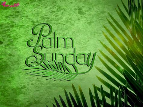 15 Amazing Palm Sunday Wallpapers Wallpaper Box