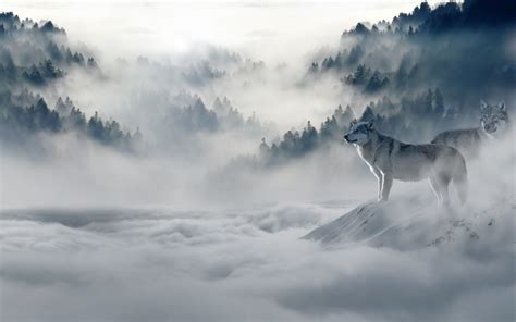 Here you can find the best wolf hd wallpapers uploaded by our community. Wolf Wallpaper for iPhone (72+ images)