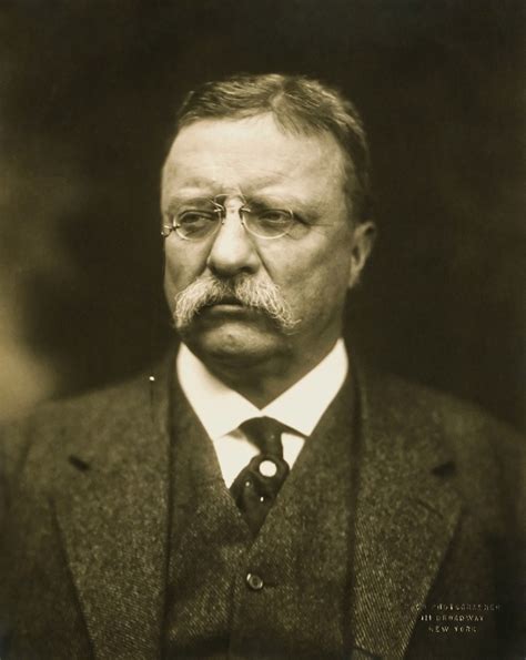 Theodore Roosevelt Exploring The Achievements Of America S 26th President Hubpages