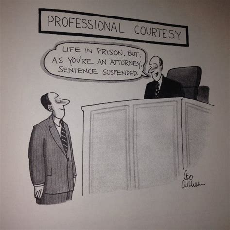 pin by zev goldstein esq on lawyer jokes and law humor lawyer humor lawyer jokes humor