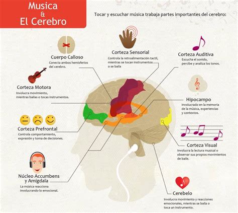 La Música Y Sus Efectos En El Cerebro Neurociencia Y Educacion My Xxx