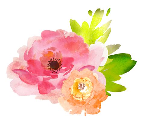 Watercolor Flower Png File Download Free Png All