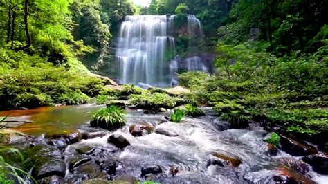 Waterfall Flowing Over Rocks In Forest 4k Relaxing Flowing Water
