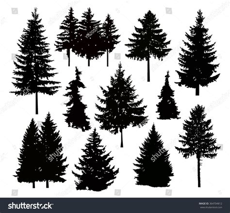 Vector Silhouette Different Pine Trees Can Stock Vector Royalty Free