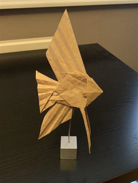 Angelfish Designed By Kamiya Satoshi Rorigami