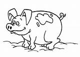 Pig Coloring Printable Creature Funny sketch template