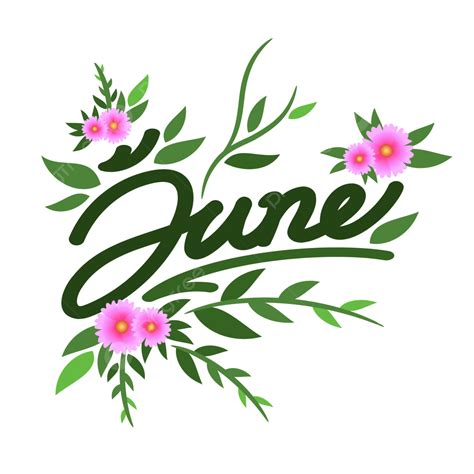 June Month Vector Art Png June Month Of The Year Text Hand Lettering