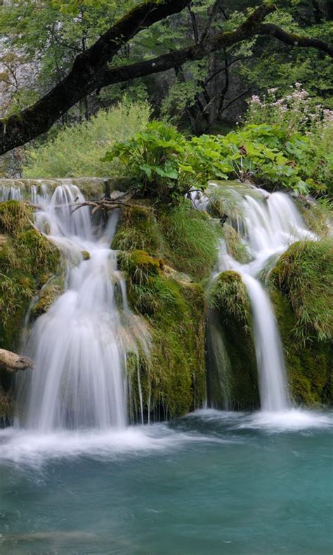 Find best latest 3d wallpapers hd nature in hd for your pc desktop background & mobile phones. Nature Wallpapers for Mobile - Screen Size 480X800 ~ My ...