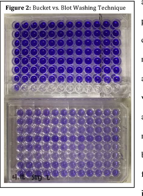 Figure 2 From Developing A Crystal Violet Assay To Quantify Biofilm