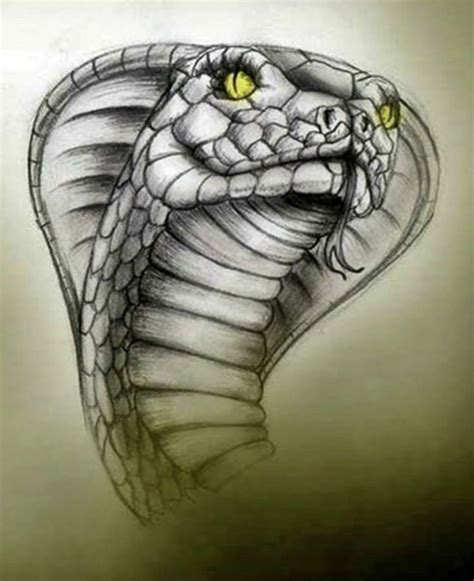 Pin By Parker West On Drawings Cobra Tattoo Snake Drawing Snake Art