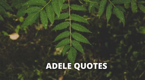 Adele Skinny Quote