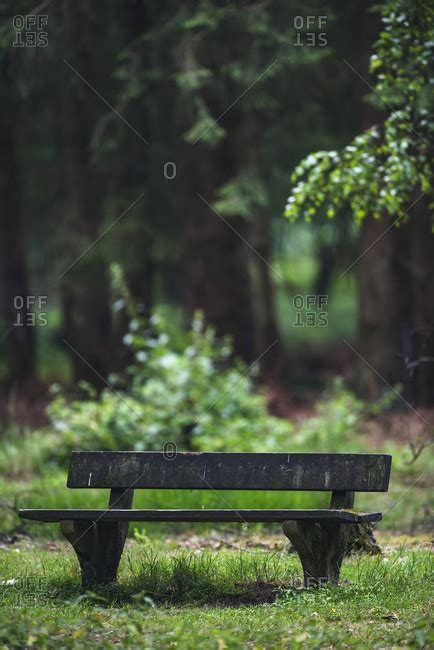 Wooden Bench In A Forest Stock Photo Offset