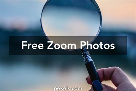 250 Amazing Zoom Photos Pexels · Free Stock Photos