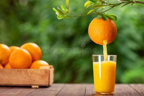 Orange Juice Pouring In Glass Stock Photo Image Of Glass Wooden