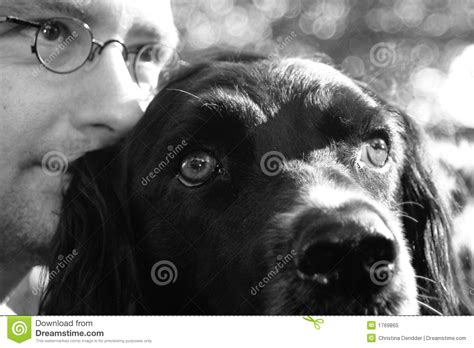 C'è sempre una via d'uscita. Amici per sempre immagine stock. Immagine di cane, uomo ...