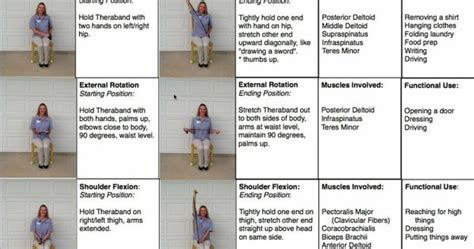 Theraband Exercises Yahoo Image Search Results Trx And Theraband