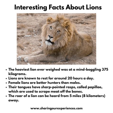 Interesting And Fun Facts About Animals For Kids