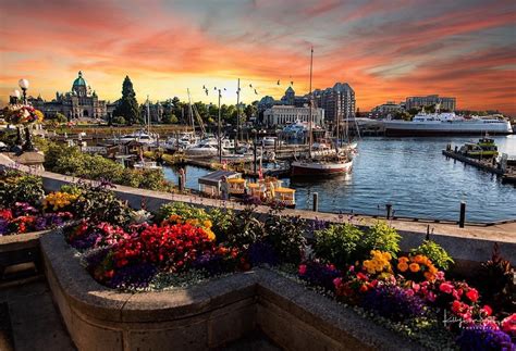 Top Photos Of 2018 Destination Greater Victoria Downtown Victoria