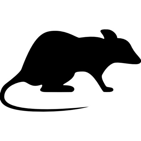 Brown Rat Laboratory Rat Mouse Rodent Rat And Mouse Png Download 512