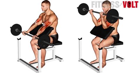 Barbell Preacher Curl How To Tips Variations And Video Guide