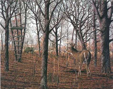 larry anderson wildlife art 4 seasons series wildlife art sandn limited edition prints