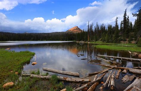 Uinta Wasatch National Forest Editorial Stock Photo Image Of Windy