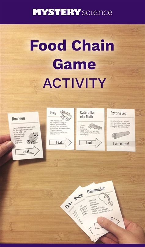 Excellent activities for learning fractions. Food Chain Activity - free hands-on science activity for ...