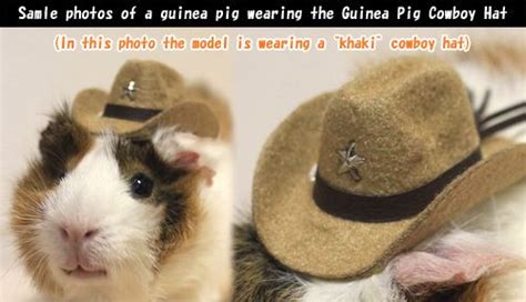 Guinea Pig Cowboy Hat Khaki Guinea Pigs