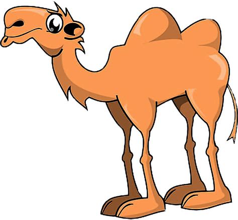 Animals Camel Hump Humpday Freetoedit Camel Two Humps Cartoon Clipart