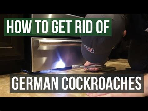Bed bugs are generally a problem in hotels, motels, movie theaters and other high traffic establishments, as well as residential homes. Cockroach Treatment Indian Wells Az - SG Bug Pest Control