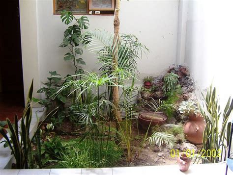 Interior Jardin En Casa Pequeña