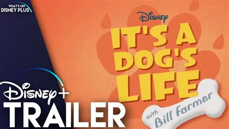 Its A Dogs Life Disney Trailer Youtube