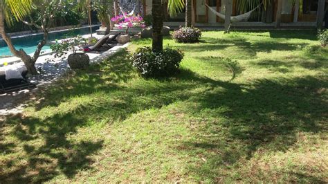 We did not find results for: Ahli Tukang Taman | Pembuat Taman Rumah - SLEPER TAMAN