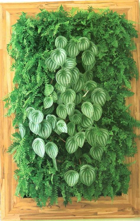 I've mentioned a few ideas already of vegetables you can grow in a vertical garden, but i'd like to give you a more detailed list of what you should consider raising if you consider. 19 Effective Vertical Garden ideas - Home Decor & DIY Ideas