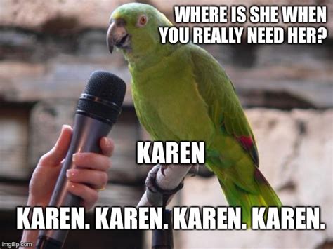 Where Is Karen When You Need Her Imgflip