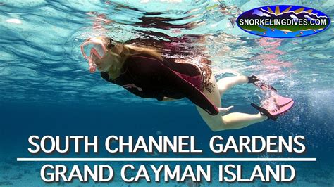 South Channel Gardens Snorkeling Grand Cayman Youtube