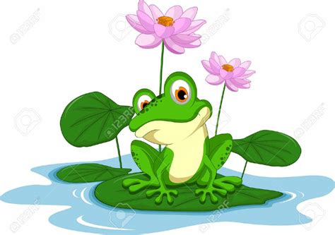 Frösche Frog Art Frog Drawing Frog Illustration