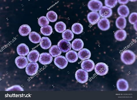 Bacteria Methicillinresistant Staphylococcus Aureus Mrsa Multidrug Stock Illustration 2229114271