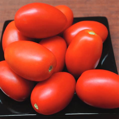 50 Giant Italian Plum Tomato Seeds Welldales