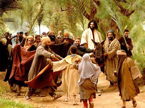The King Is Coming A Story About Palm Sunday By Linda Sue Pochodzay