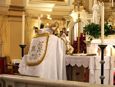 Coptic Catholic Liturgy In New York City Catholic News Live