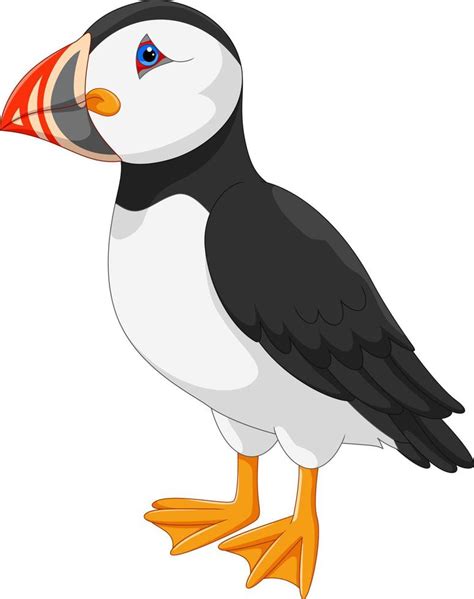 Puffin Cartoon On White Background 10756905 Vector Art At Vecteezy