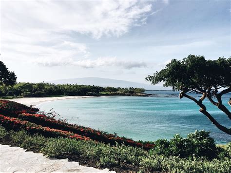 Exploring: The Big Island – Kayu